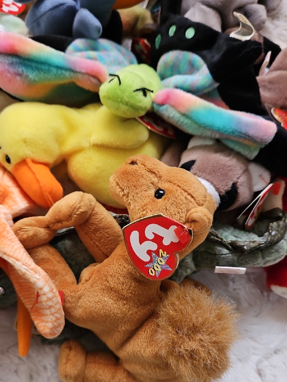 Lot Of 18 Beanie Babies almost 5 Pounds! Niles ChubbyII Snort Scoop Swoop +More - Picture 14 of 15